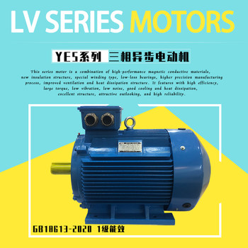 IE5效率國(guó)際標(biāo)準(zhǔn)YE5系列200L-4-30KW電機(jī)400V馬達(dá)