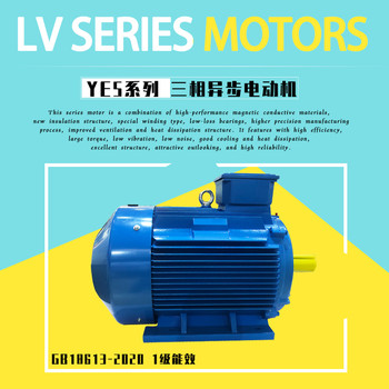 國際標準60034-1電動機YE5/YE4-225M-4-45KW電機國標能效