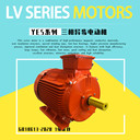 國(guó)標(biāo)GB18613-2020能效YE5-315L1-4-160KW電機(jī)400V戶外使用