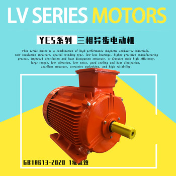 國標GB18613-2020能效YE5-315L1-4-160KW電機400V戶外使用