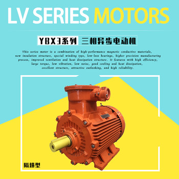 防爆電機(jī)YBX3-315S-4-110KW馬達(dá)ATEX認(rèn)證690V電動(dòng)機(jī)