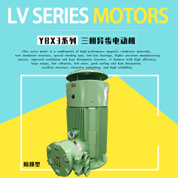 ATEX認證防爆電動(dòng)機YBX3--315L2-4-200KW電機立式400V