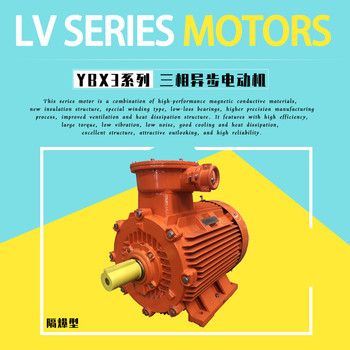 ATEX認證防爆電機YBX3-225M-4-45KW馬達400V電機