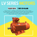 ATEX認(rèn)證防爆電機(jī)YBBP-200L1-6-18.5KW馬達(dá)變頻調(diào)速電動(dòng)機(jī)