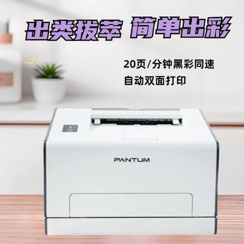 奔圖彩色激光打印機(jī)CP2128DW