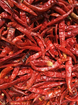 青島港代理進(jìn)口干辣椒清關(guān)正常需要幾天的報(bào)關(guān)時(shí)間