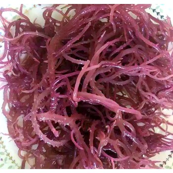 進(jìn)口麒麟菜的報(bào)關(guān)流程麒麟菜進(jìn)口報(bào)關(guān)報(bào)檢