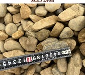 廣東陽(yáng)江室內(nèi)裝飾鵝卵石陽(yáng)江鵝卵石加工石材陽(yáng)江鵝卵石用途多樣
