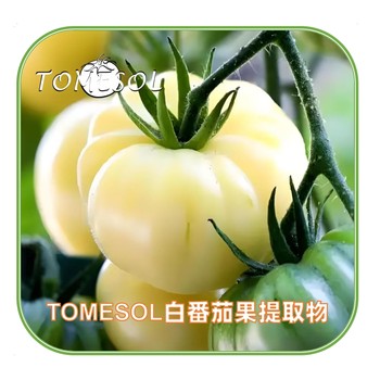 TOMESOL白番茄果提取物（妆食同源）TOMESORAL白番茄浓缩粉