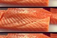 青島進(jìn)口加拿大秋刀魚清關(guān)資料及清關(guān)流程