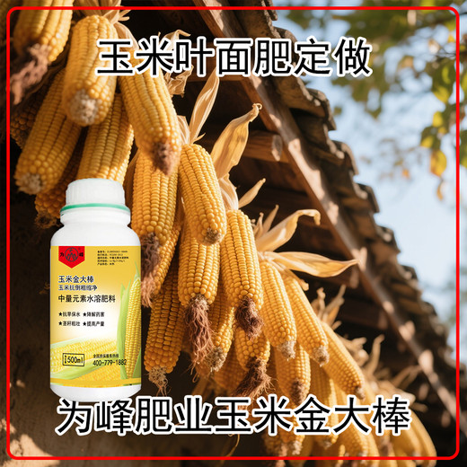 玉米金大棒產(chǎn)品標簽解讀，玉米葉面肥產(chǎn)品定做玉米金大棒廠(chǎng)家