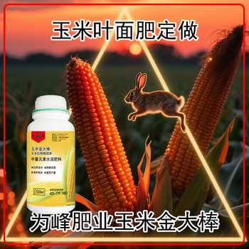 玉米金大棒葉面肥有用嗎？金大棒玉米葉面肥廠家批發(fā)