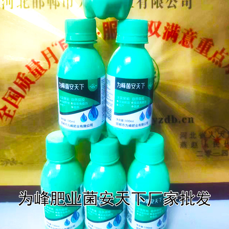52621800-2.jpg@750w_750h_90Q