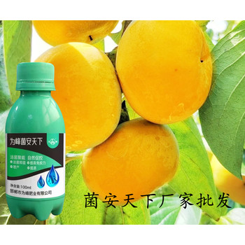 菌安天下正規(guī)嗎？為峰肥業(yè)微生物菌劑菌安天下正規(guī)廠家招商