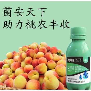 菌安天下正規(guī)嗎？為峰肥業(yè)微生物菌劑菌安天下正規(guī)廠家招商