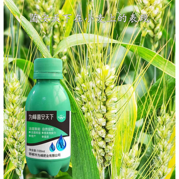 菌安天下微生物菌劑廠(chǎng)家，為峰肥業(yè)菌安天下生產(chǎn)廠(chǎng)家批發(fā)