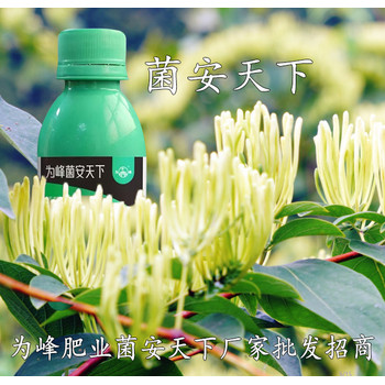 菌安天下微生物菌劑廠(chǎng)家，為峰肥業(yè)菌安天下生產(chǎn)廠(chǎng)家批發(fā)