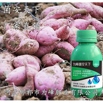 菌安天下微生物菌劑廠(chǎng)家，為峰肥業(yè)菌安天下生產(chǎn)廠(chǎng)家批發(fā)
