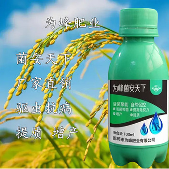 菌安天下水稻應用現(xiàn)狀，微生物菌劑菌安天下在水稻上的作用效果