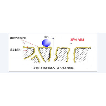 建筑防水新寵！硅烷浸漬劑，深層滲透，防水抗腐超持久