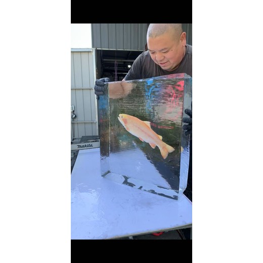 珠海冰凍物品注水冰雕婚慶冰雕冰吧臺破冰冰雕