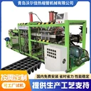 定制育苗盤成型機全自動水稻育苗盤機器育苗穴盤成型打孔一體機