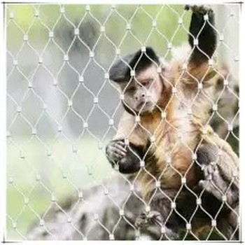 不銹鋼繩網(wǎng)防墜網(wǎng)動(dòng)物園編織卡扣鋼絲網(wǎng)學(xué)校陽臺高空防墜落安全網(wǎng)