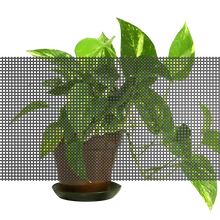 深圳市東鴻光電全息透明屏LED顯示屏廠家