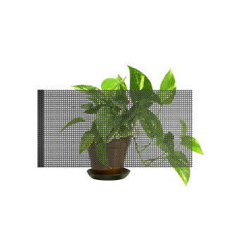 深圳市東鴻光電全息透明屏LED顯示屏廠家