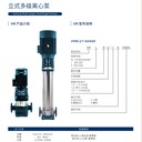 丹麥代斯米DESMI水泵