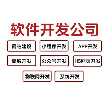 南昌可全方面開發(fā)網(wǎng)站小程序APP軟件的公司
