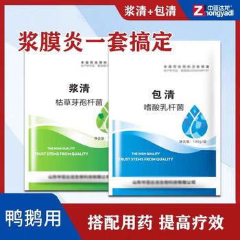 鸭鹅瘸腿原因鹅浆膜炎症状防治方法得了浆膜炎怎么办