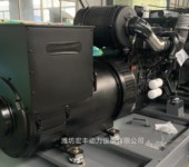 濰柴泵用柴油機WP13G530E310發動機390千瓦液壓泵