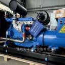 100千瓦濰柴船用應(yīng)急發(fā)電機(jī)組WP6CD132E201