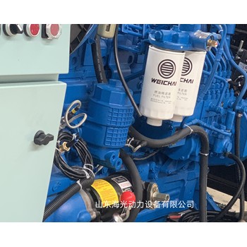 濰柴道依茨船用發(fā)動機WP6C198-23高速船機