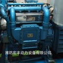 濰柴道依茨船用發(fā)電機80千瓦WP4CD100E200并機機組