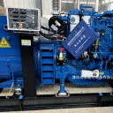 濰柴道依茨船用50千瓦發(fā)電機WP6CD132E200并機機組