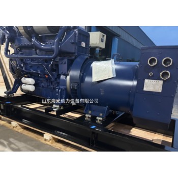 濰柴船用發(fā)電機(jī)組250千瓦WP12CD317E201柴油機(jī)船機(jī)