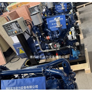 濰柴250千瓦船用發(fā)電機(jī)組馬拉松電機(jī)WP12CD317E201