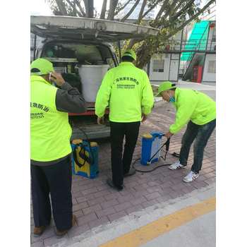 地下白蟻如何防治-深圳市白蟻防治中心