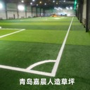 免沖砂足球場人造草坪30mm加厚加密足球場人工草坪