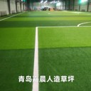 25mm免填充足球場(chǎng)人造草坪免充砂足球場(chǎng)人造草坪