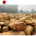 西藏山南噸位黃蠟石景觀山南黃蠟石質(zhì)地怎樣山南黃蠟石設(shè)景廠家