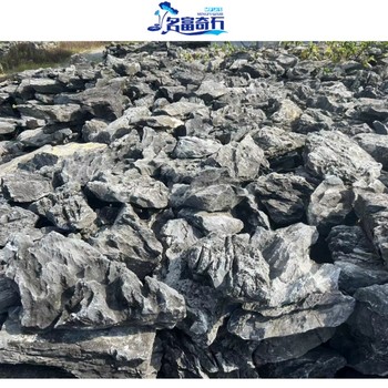 湖北黃岡小型英石擺放方式黃岡英石假山布局風景黃岡英石與植物