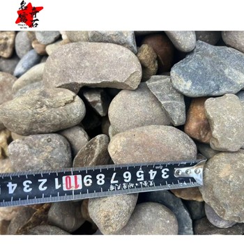 廣東珠海鵝卵石排列設計珠海鵝卵石橢圓形規(guī)格珠海鵝卵石批發(fā)