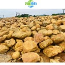 湖南永州噸位黃蠟石設(shè)計永州黃蠟石假山景觀永州黃蠟石的報價