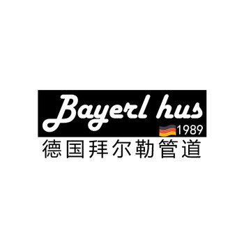德國(guó)拜爾勒納米抗菌給水管