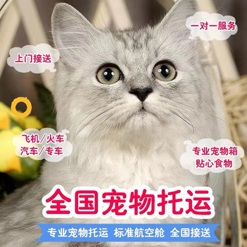 潮陽托運運輸-靠譜貓咪狗狗搬家運輸下單送