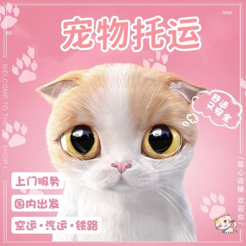 萬州托運-貓狗長途搬家可上門接送