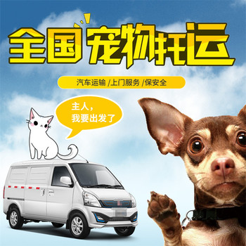 云夢托運公司-汽車托運狗狗物流高速直達